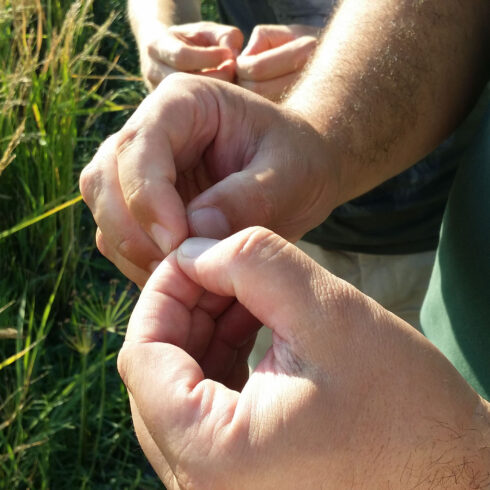 Libuni Reisdrink - Reisanbau