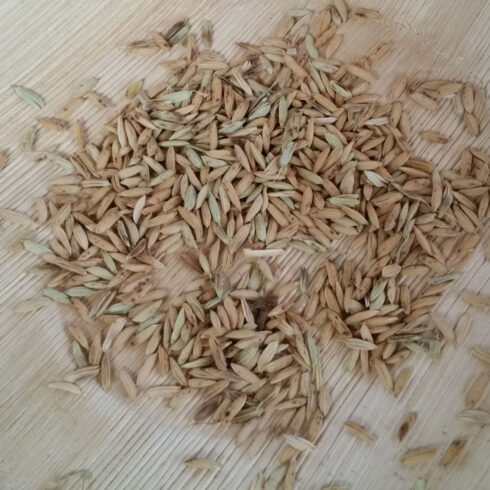 Libuni Reisdrink - Reiskorn