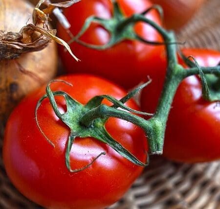 Tomatenliebe